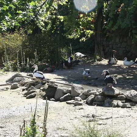 Rural De Charme Maria Da Fonte Отель