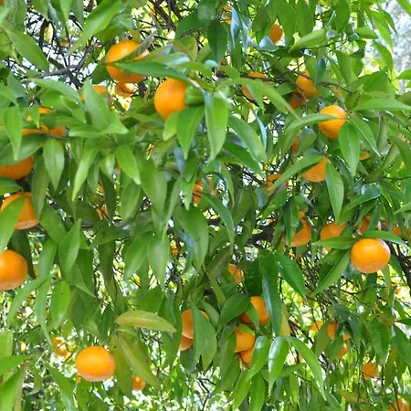 Hotel Rural De Charme Maria Da Fonte