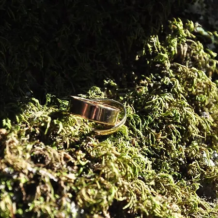 Hotel Rural De Charme Maria Da Fonte