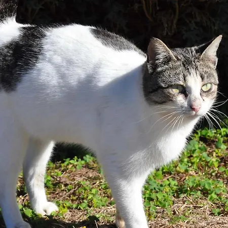 فندق Rural De Charme Maria Da Fonte