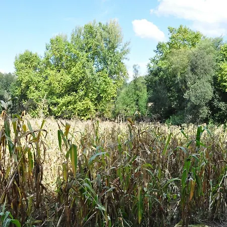 Rural De Charme Maria Da Fonte 3*