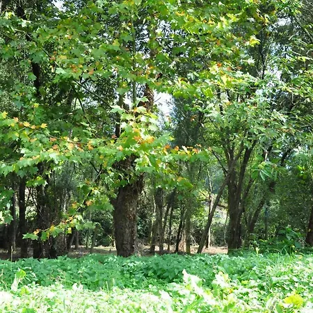 Rural De Charme Maria Da Fonte Hotel Póvoa de Lanhoso