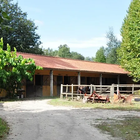 Hotel Rural De Charme Maria Da Fonte 3*