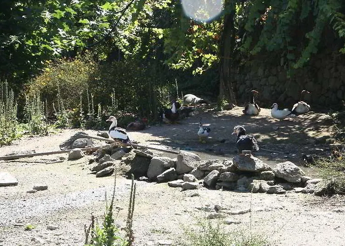 Rural De Charme Maria Da Fonte Hotel