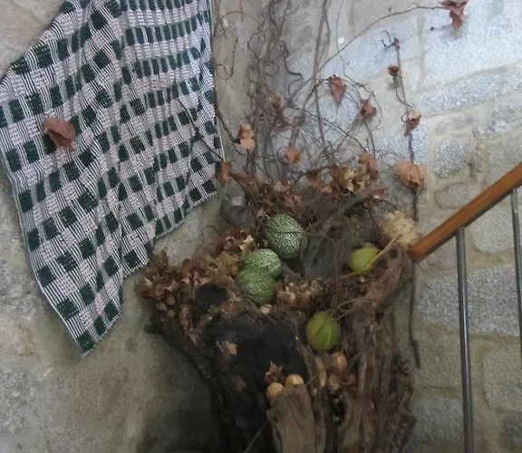 酒店 玛丽亚丰泰乡村魅力酒店 波瓦德兰赫索