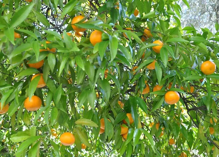 Hotel Rural De Charme Maria Da Fonte