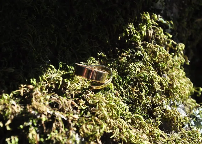 Hotel Rural De Charme Maria Da Fonte