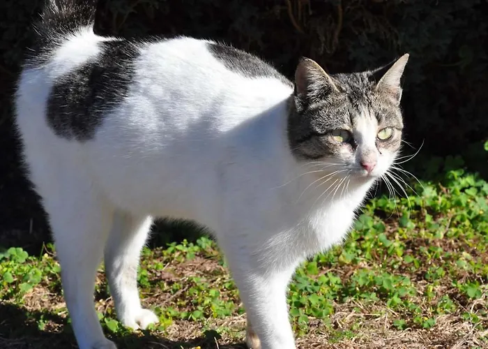 Hotel Rural De Charme Maria Da Fonte