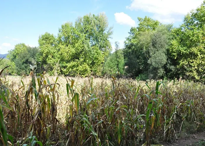 Rural De Charme Maria Da Fonte 3*