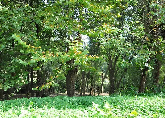 玛丽亚丰泰乡村魅力酒店 酒店 波瓦德兰赫索