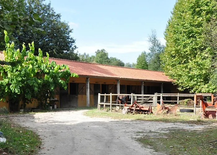 Hotel Rural De Charme Maria Da Fonte 3*